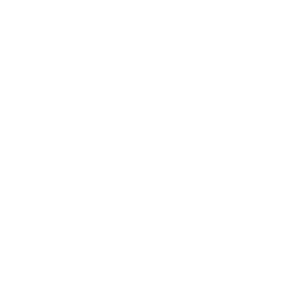男女比率